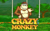 Crazy Monkey